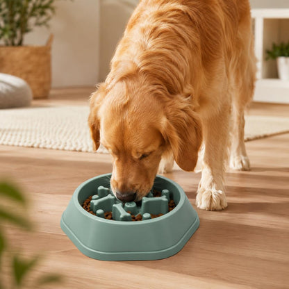 Slow Feeding Pet Bowl