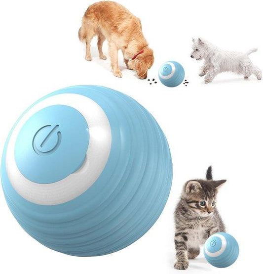 Interactive Pet Toy