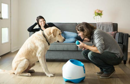 Interactive Pet Toy