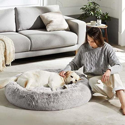 Comfort Pet Bed