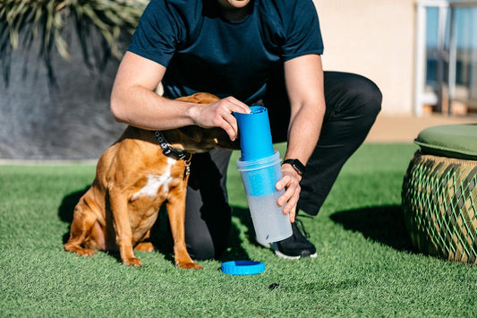 Portable Paw Cleaner