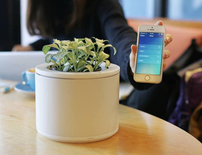 Smart Indoor Plant Pot