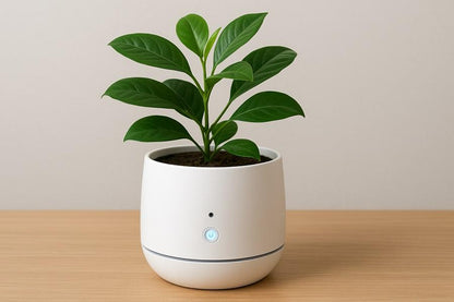 Smart Indoor Plant Pot